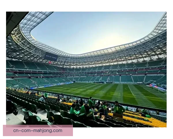 托纳利对阵巴西的西甲赛场表现与技术价值深度解析全面战术影响评估